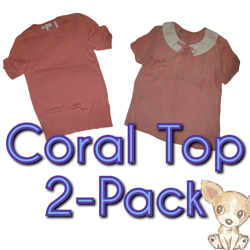 🍍**3 𝙁𝙊𝙍 $15** Coral / Pink sweater & blouse 2-pack